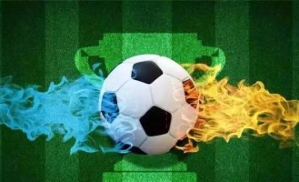 德甲 汉堡VS勒沃库森